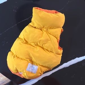 Little beast, orange, and yellow puffer vest